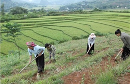 Tháo gỡ khó khăn trong triển khai thực hiện các chương trình mục tiêu quốc gia