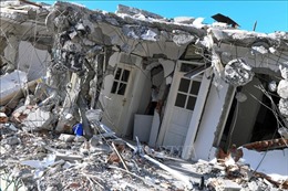 EBRD cấp khoản vay 30 triệu euro tái thiết vùng động đất tại Thổ Nhĩ Kỳ