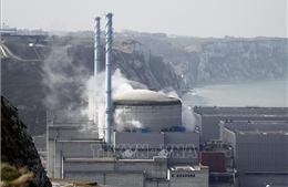Pháp: Phát hiện vết nứt mới trong ống làm lạnh tại nhà máy điện hạt nhân của EDF