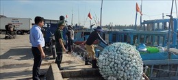 Bà Rịa - Vũng Tàu: Thành lập 3 chốt liên ngành trên biển kiểm tra tàu cá