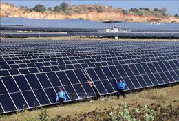 Tìm cách gỡ vướng việc dừng huy động hơn 172 MW điện mặt trời của Trung Nam