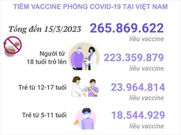 Tình hình tiêm vaccine phòng COVID-19 tại Việt Nam tính đến hết ngày 15/3/2023