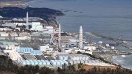Nhiều tranh cãi về việc nhà máy điện hạt nhân Fukushima xả hơn 1 triệu lít nước thải ra biển