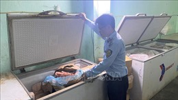 Phú Yên tạm giữ gần 600 kg thịt động vật không rõ nguồn gốc, xuất xứ