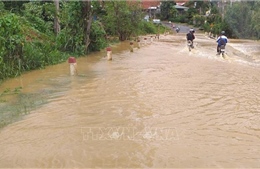 &#39;Cơn mưa vàng&#39; giải cứu khô hạn toàn tỉnh Lâm Đồng