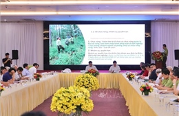 Phát triển lực lượng nòng cốt quản lý, bảo vệ rừng
