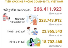 Tình hình tiêm vaccine phòng COVID-19 tại Việt Nam tính đến hết ngày 30/5/2023