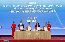 Cơ hội kết nối giao thương cho doanh nghiệp Việt Nam và tỉnh Sơn Đông (Trung Quốc)