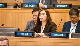 Việt Nam nhấn mạnh khuôn khổ quản lý đạn dược phải phù hợp luật pháp quốc tế 