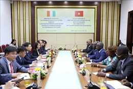 Cơ hội hợp tác trong lĩnh vực giao thông giữa Việt Nam - Cộng hòa Côte d&#39;Ivoire