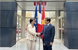 Phó Thủ tướng Trần Hồng Hà làm việc với Phó Tổng Giám đốc Cơ quan Phát triển Pháp