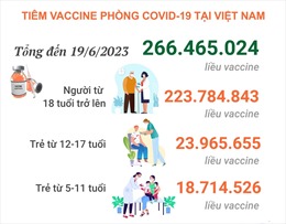 Tình hình tiêm vaccine phòng COVID-19 tại Việt Nam tính đến hết ngày 19/6/2023