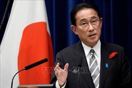 Tỷ lệ ủng hộ nội các của Thủ tướng Kishida vẫn chưa được cải thiện