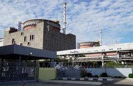 Ukraine diễn tập ứng phó thảm họa gần nhà máy điện hạt nhân Zaporizhzhia