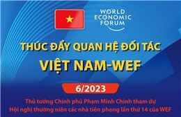 Thúc đẩy quan hệ đối tác Việt Nam - WEF