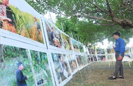 Quảng bá lịch sử, văn hóa và du lịch Điện Biên qua triển lãm ảnh tại Đà Nẵng