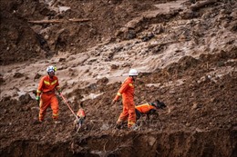 Trung Quốc: Sạt lở đất ở Trùng Khánh, 6 người thiệt mạng