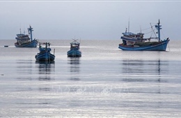 Quyết liệt phòng chống khai thác hải sản bất hợp pháp