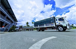 Sản lượng vận tải hàng hóa, hành khách 6 tháng tăng mạnh