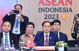Hội nghị AMM-56: Bộ trưởng Ngoại giao Bùi Thanh Sơn dự các cuộc họp giữa ASEAN và đối tác