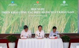 Tận dụng cơ hội xuất khẩu gạo nhưng phải đảm bảo an ninh lương thực
