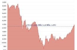 Phiên 10/8/2023: VN-Index giảm mạnh hơn 13 điểm