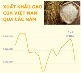 Xuất khẩu gạo của Việt Nam qua các năm
