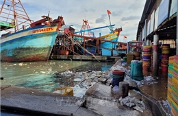 Một cảng cá ở Bà Rịa-Vũng Tàu bị đưa ra khỏi danh sách cảng chỉ định