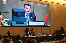 Hội nghị tham vấn Bộ trưởng Kinh tế ASEAN - Trung Quốc