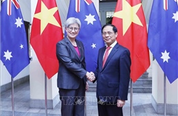 Hội nghị Bộ trưởng Ngoại giao Việt Nam - Australia lần thứ 5