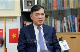Đại sứ Mai Phước Dũng: Chuyến thăm của Thủ tướng Lý Hiển Long giúp thúc đẩy quan hệ đối tác chiến lược Việt Nam - Singapore