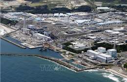 TEPCO lại hoãn xử lý mảnh vỡ chứa nhiên liệu hạt nhân có độ phóng xạ cao tại nhà máy Fukushima