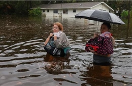 Bang Florida khắc phục hậu quả bão Idalia
