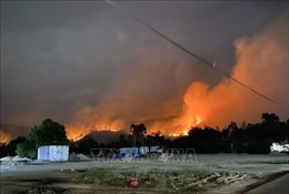 Liên tiếp xảy ra cháy rừng tại thị xã Sông Cầu, Phú Yên