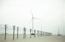 Bộ Công Thương lấy ý kiến về Thông tư giá điện gió và mặt trời cho các nhà máy mới