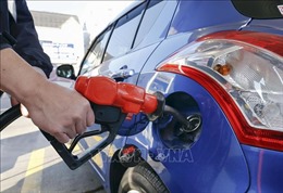 Giá dầu bắt đầu xu hướng tăng bền vững