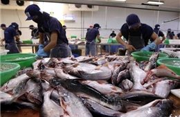 FSIS đánh giá ban đầu sau kiểm tra an toàn thực phẩm với cá tra Việt Nam