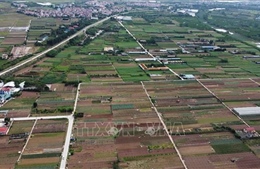 Hà Nội: Chuyển đổi mục đích sử dụng đất nông nghiệp sang phi nông nghiệp