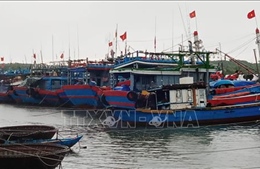 Sớm chấm dứt nuôi thủy sản trong khu neo đậu tàu cá