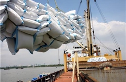 Kiên Giang xuất khẩu gạo tăng gần 60%