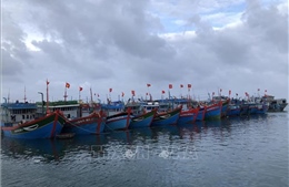 Quảng Ngãi quản lý chặt, cấm tàu thuyền ra biển khi có gió cấp 6