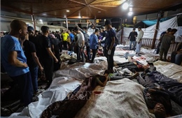 Xung đột Hamas - Israel: WHO phản đối mọi cuộc tấn công nhằm vào các cơ sở y tế