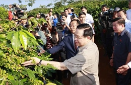 Chủ tịch Quốc hội thăm vùng trồng và dự Lễ khánh thành Nhà máy chế biến cà phê Sơn La