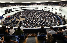 EU siết chặt các quy định về quảng cáo chính trị trực tuyến