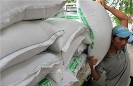 Campuchia lần đầu tiên xuất khẩu gạo sang Indonesia