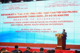 Kết nối giao thương doanh nghiệp Hải Phòng, Trung Quốc, Ấn Độ và Nam Phi