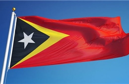 Điện mừng nhân dịp kỷ niệm lần thứ 48 Ngày độc lập của Timor-Leste