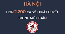 Hà Nội: Ghi nhận trên 2.200 ca sốt xuất huyết trong một tuần