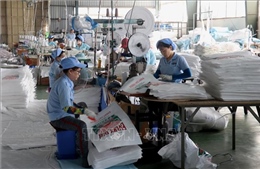 Giá trị sản xuất công nghiệp và xuất khẩu của Kiên Giang tăng cao