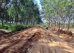 Khắc phục giao thông trên tuyến đường đang xây dựng tại Đắk R’la (Đắk Nông)